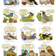 Illustration for article titled Cute Field Guide Helps You Remember Bird Calls with Beer, Cheeseburgers